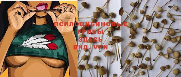 бошки Балахна